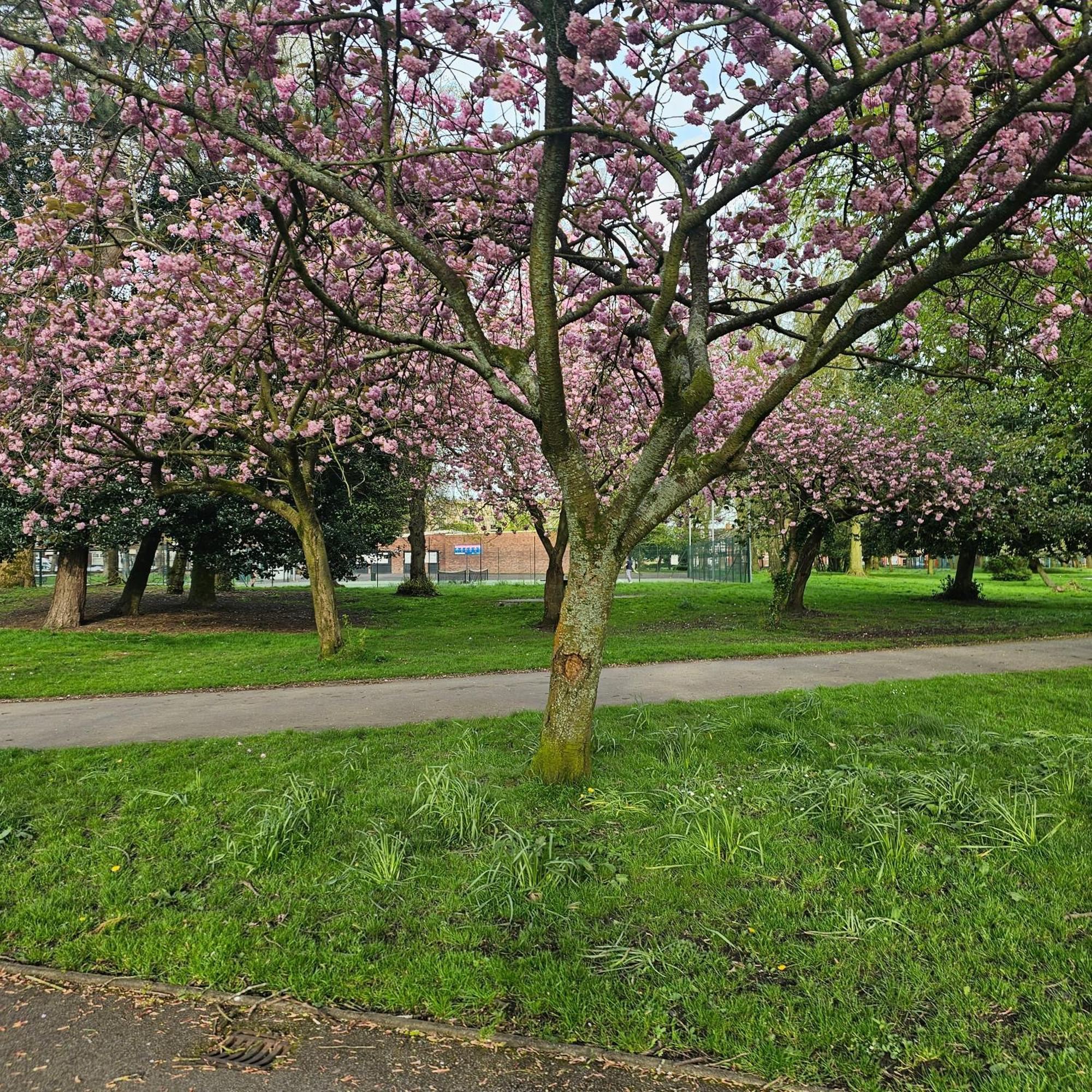 Alexandra Park Apartamento Manchester